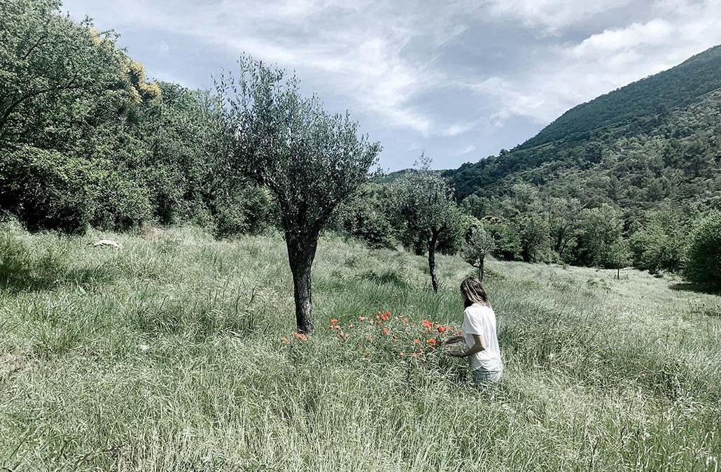 Invitation à ralentir à écouter sur radiola