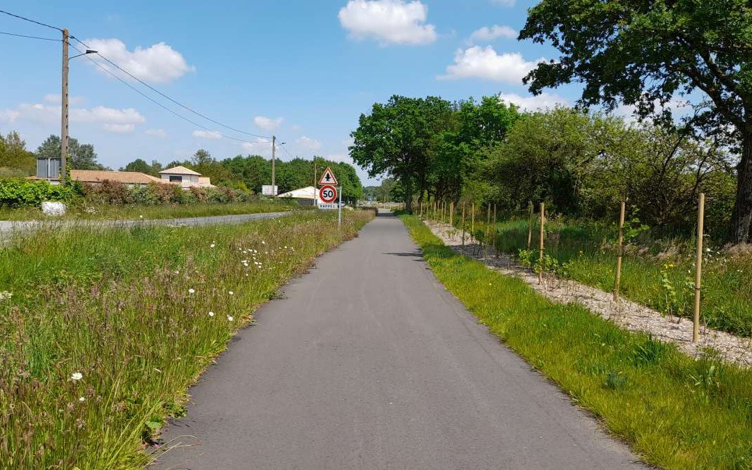 Vers des aménagements cyclables plus sûrs : comment séparer la route des aménagements cyclables hors agglomération ?