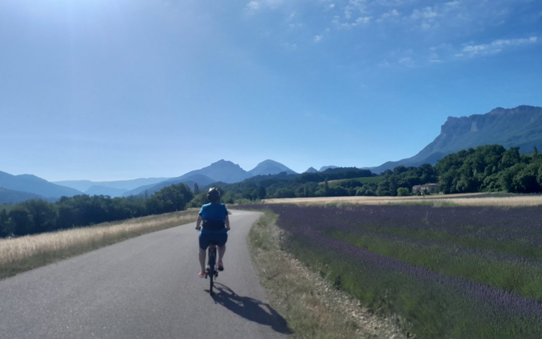 Stage mobilité Vélo et Santé